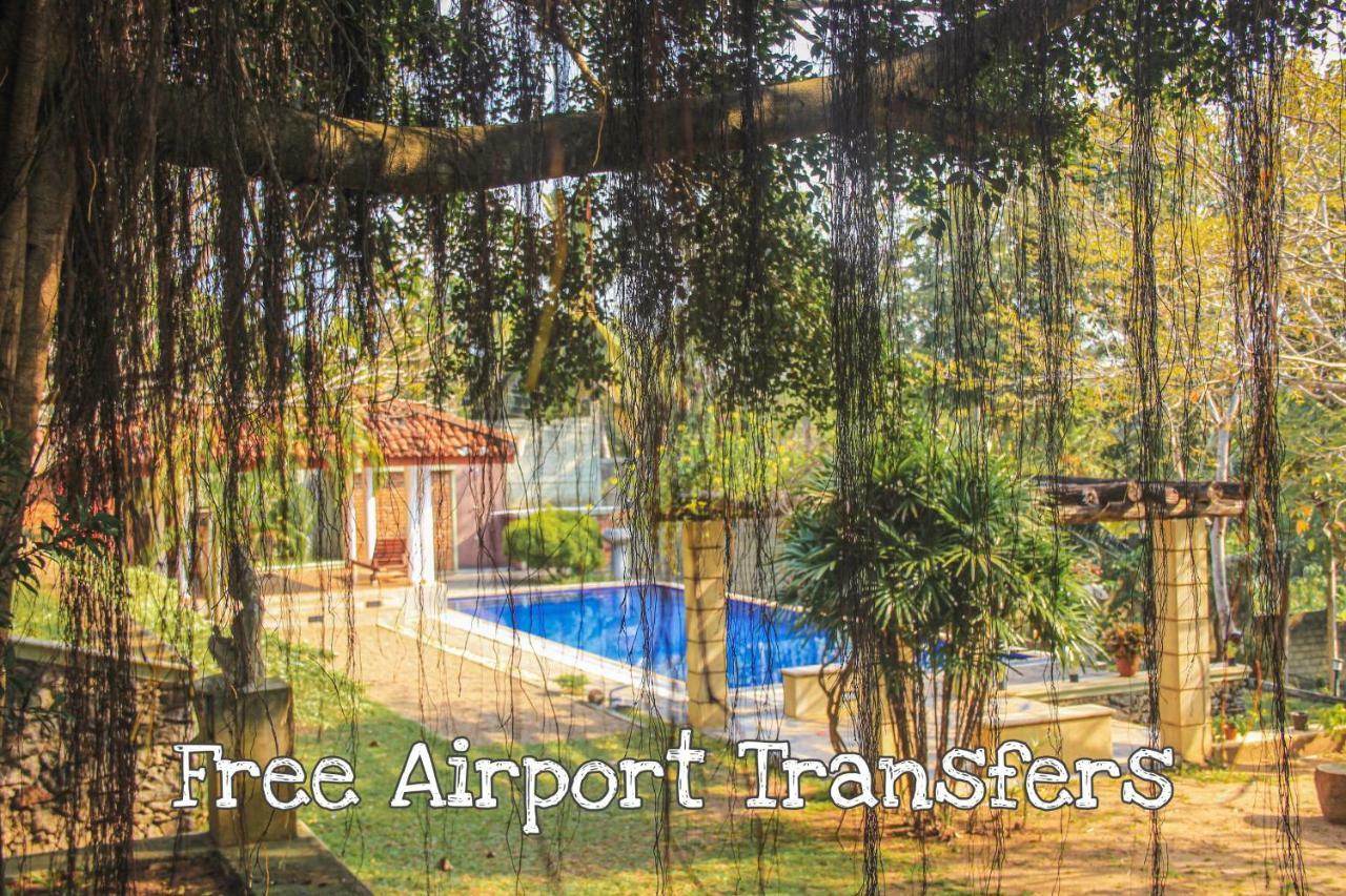 Airport Green Olive Villa Katunayaka Luaran gambar